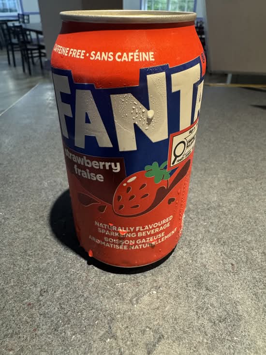LG Canned Fanta Strawberry (355 ml)