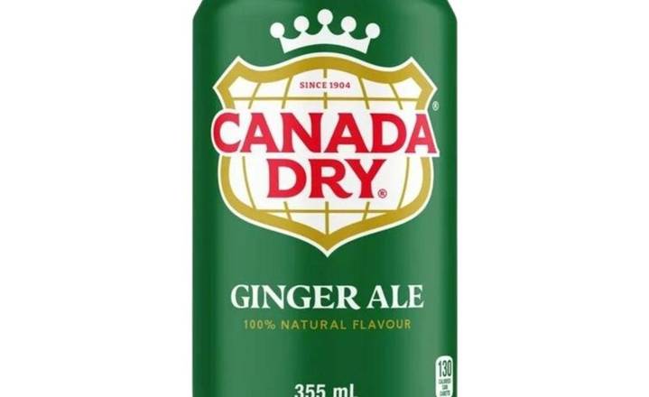 Ginger Ale 355ml Can