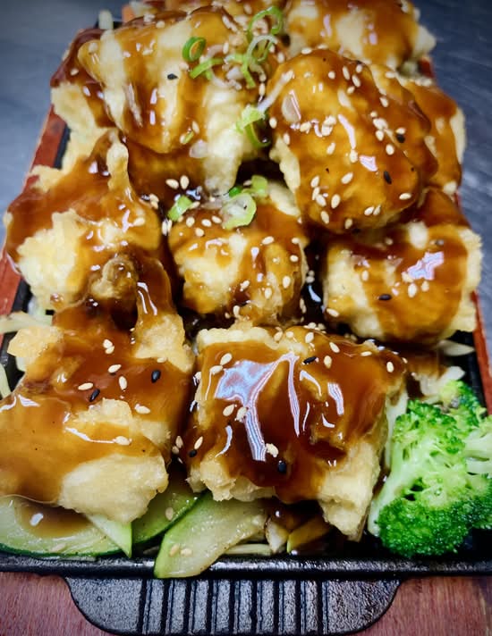 TE01 Tofu Teriyaki