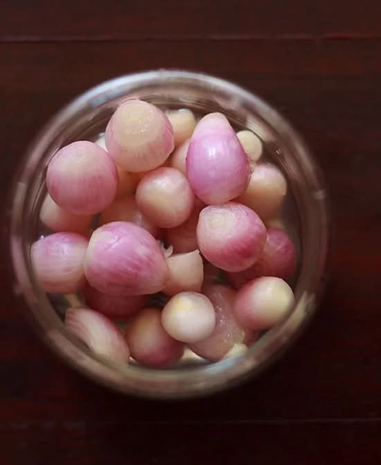 Sirka Onion
