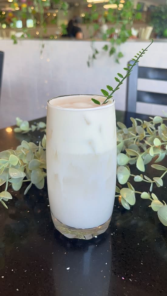 212. Nước Dừa Kem Muối/ Coconut Water W Sea Salt Cream