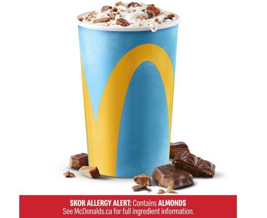 Regular Skor McFlurry [530.0 Cals]