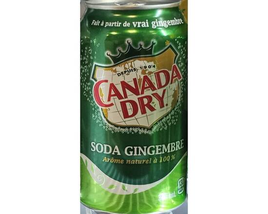 Ginger ale (can /350 ml)