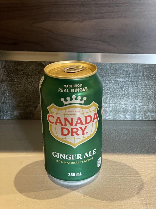 Ginger Ale (355 ml)