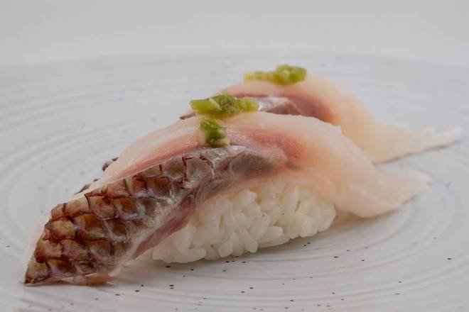 Red Sea-bream (Madai)
