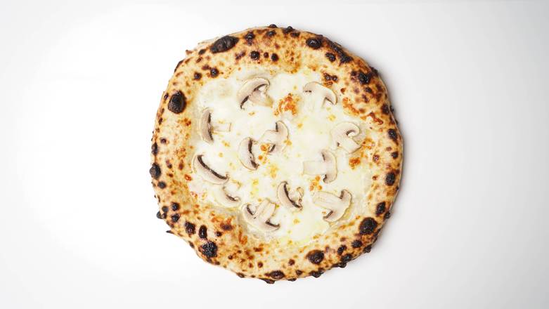 Funghi Alfredo with White Truffle Oil