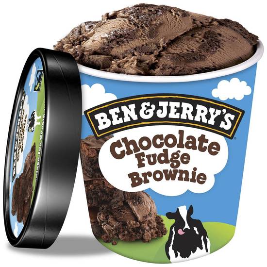 Ben & Jerry's Chocolate Fudge Brownie