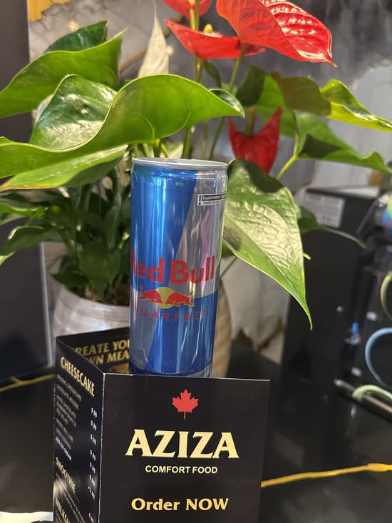 RED BULL Sugar Free 250ml