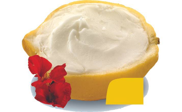 Lemon Sorbet