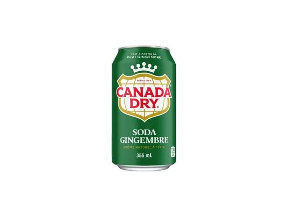 GINGER ALE (355ml)