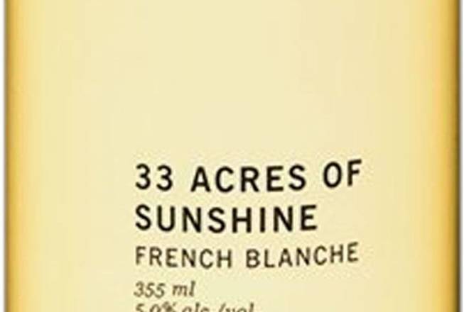 33 Acres Brewing Company - 33 Acres Of Sunshine