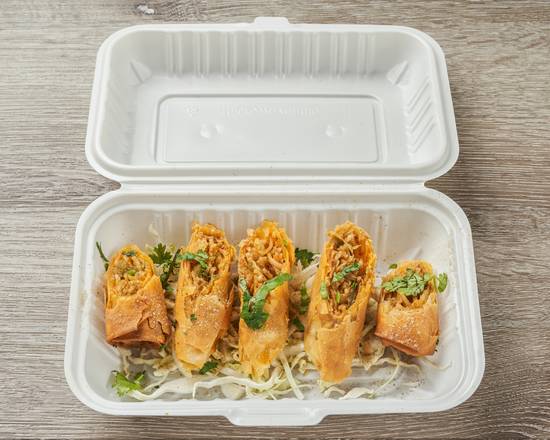 Noodles Spring Roll (Indian Style)