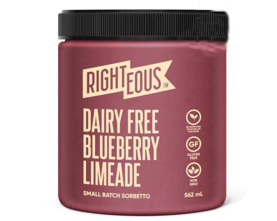 Dairy Free Blueberry Limeade Sorbetto