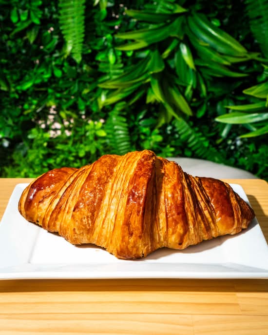 Plain Croissant