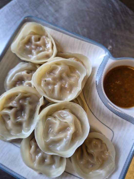 Chicken Dumplings (10 pc)