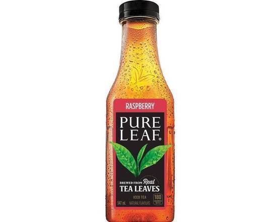 Pure Leaf Framboise / Pure Leaf Raspberry