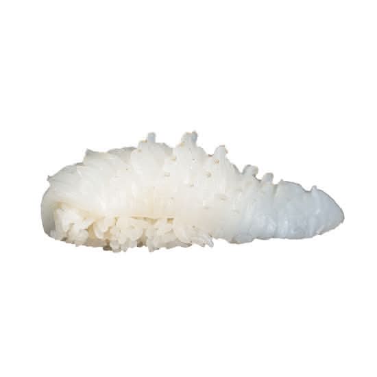Ika (Squid)