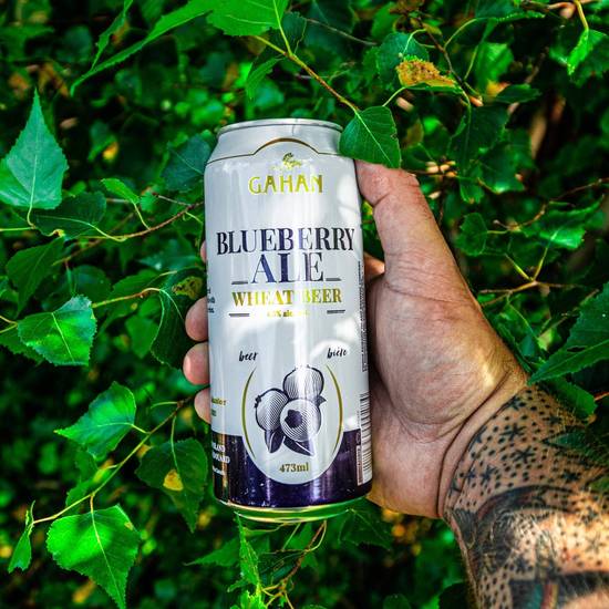 Gahan Blueberry Ale