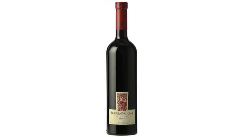 Bold & Full | Burrowing Owl MERLOT (750ml)