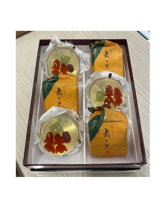 UM11541506 Minamoto Kitchoan Saisaika Kingyo Mix 6pcs