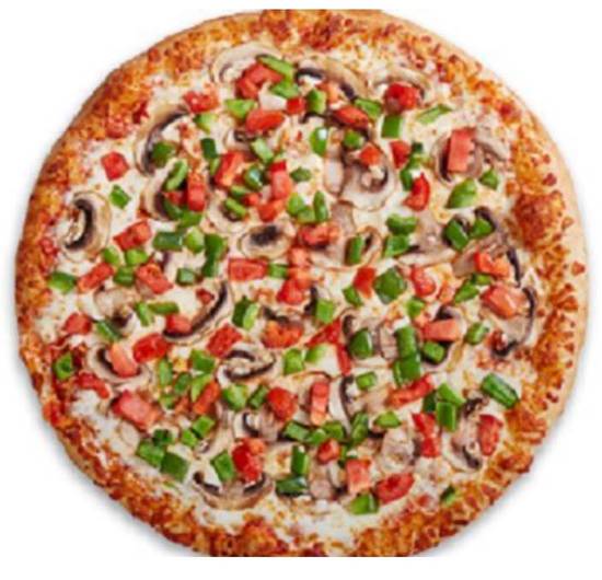 VEGETARIAN PIZZA