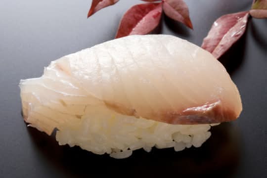 Hamachi / Yellowtail
