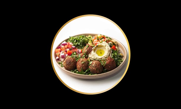Falafel Plate