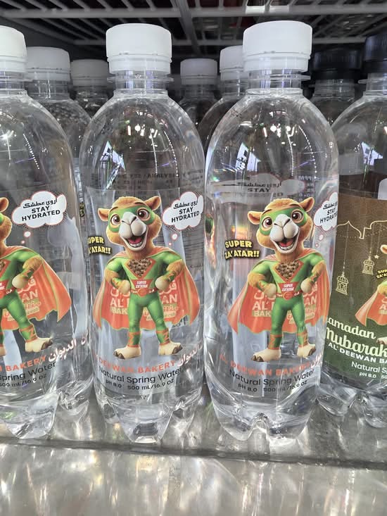 WATER BOTTLE - ALDEEWAN