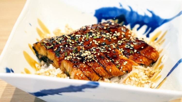 Unagi Don